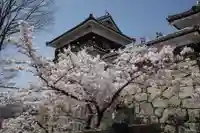 眞田神社の自然