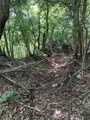 琴平神社(千葉県)