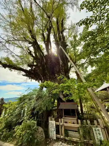 葛城一言主神社(奈良県)