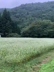 大沢温泉金勢神社の自然