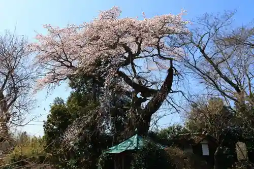 大日堂の景色