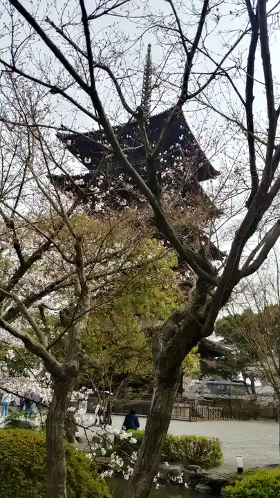 東寺(教王護国寺)(京都府)