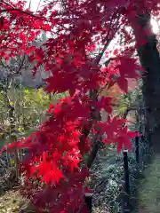 本土寺(千葉県)