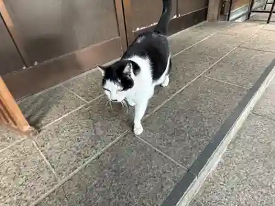 王子神社(徳島県)