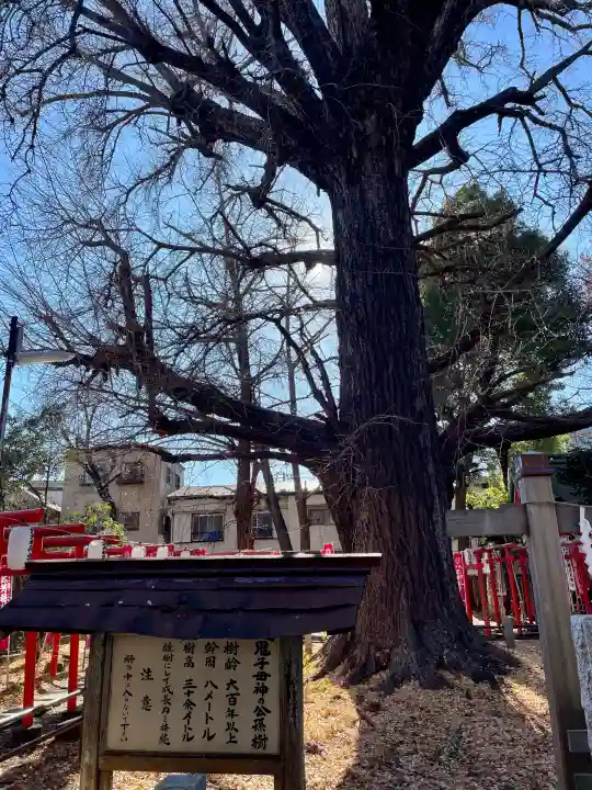 武芳稲荷神社の{uncategorized: "未分類", other: "その他", undefined: "問題あり", building: "その他建物", grave: "お墓", sacred_gate: "鳥居", guardian: "狛犬", statue: "像", buddha: "仏像", history: "歴史", nature: "自然", garden: "庭園", animal: "動物", pagoda: "塔", temizu: "手水舎", mountain_gate: "山門・神門", sanctuary: "本殿・本堂", subordinate: "末社・摂社", art: "芸術", scenery: "景色", jizo: "地蔵", ema: "絵馬", goshuin: "御朱印", omikuji: "おみくじ", items: "授与品その他", amulet: "お守り", goshuincho: "御朱印帳", eats: "食事", festival: "お祭り", votive_dance: "神楽", shichigosan: "七五三参", wedding: "結婚式", experience: "体験その他", initially: "初詣", around: "周辺", anti_infection: "感染症対策"}