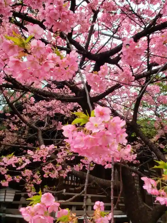 新宿下落合氷川神社(東京都)