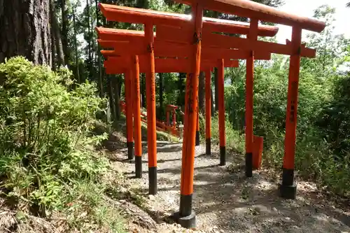 磐栄稲荷宮の鳥居