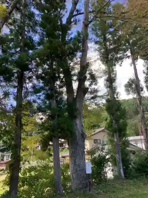 鬼無里神社(長野県)