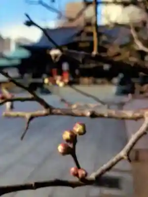 熊野神社(東京都)