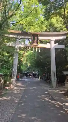 若宮八幡宮(高知県)