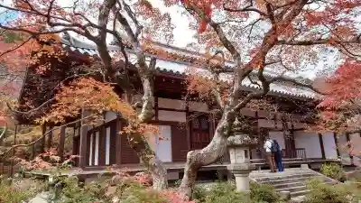 常寂光寺(京都府)