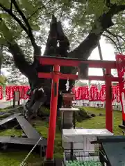 秩父今宮神社(埼玉県)