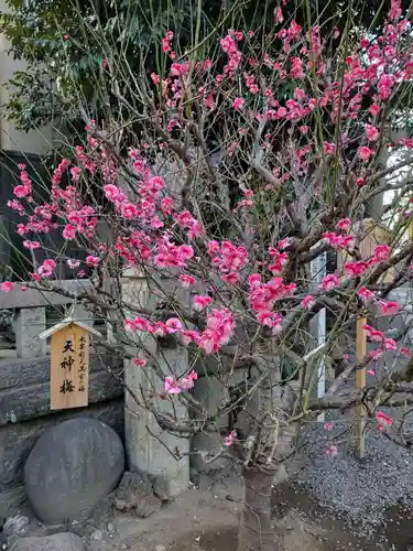 小野照崎神社(東京都)