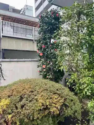 宗源寺の{uncategorized: "未分類", other: "その他", undefined: "問題あり", building: "その他建物", grave: "お墓", sacred_gate: "鳥居", guardian: "狛犬", statue: "像", buddha: "仏像", history: "歴史", nature: "自然", garden: "庭園", animal: "動物", pagoda: "塔", temizu: "手水舎", mountain_gate: "山門・神門", sanctuary: "本殿・本堂", subordinate: "末社・摂社", art: "芸術", scenery: "景色", jizo: "地蔵", ema: "絵馬", goshuin: "御朱印", omikuji: "おみくじ", items: "授与品その他", amulet: "お守り", goshuincho: "御朱印帳", eats: "食事", festival: "お祭り", votive_dance: "神楽", shichigosan: "七五三参", wedding: "結婚式", experience: "体験その他", initially: "初詣", around: "周辺", anti_infection: "感染症対策"}