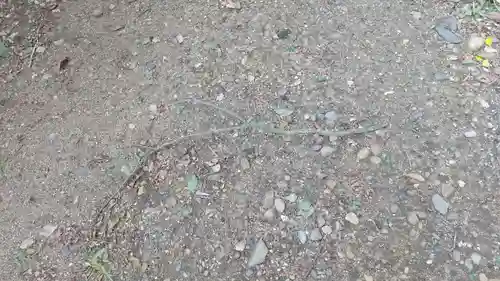 酒門神社(茨城県)