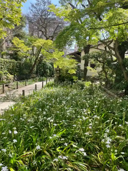 東福寺の{uncategorized: "未分類", other: "その他", undefined: "問題あり", building: "その他建物", grave: "お墓", sacred_gate: "鳥居", guardian: "狛犬", statue: "像", buddha: "仏像", history: "歴史", nature: "自然", garden: "庭園", animal: "動物", pagoda: "塔", temizu: "手水舎", mountain_gate: "山門・神門", sanctuary: "本殿・本堂", subordinate: "末社・摂社", art: "芸術", scenery: "景色", jizo: "地蔵", ema: "絵馬", goshuin: "御朱印", omikuji: "おみくじ", items: "授与品その他", amulet: "お守り", goshuincho: "御朱印帳", eats: "食事", festival: "お祭り", votive_dance: "神楽", shichigosan: "七五三参", wedding: "結婚式", experience: "体験その他", initially: "初詣", around: "周辺", anti_infection: "感染症対策"}
