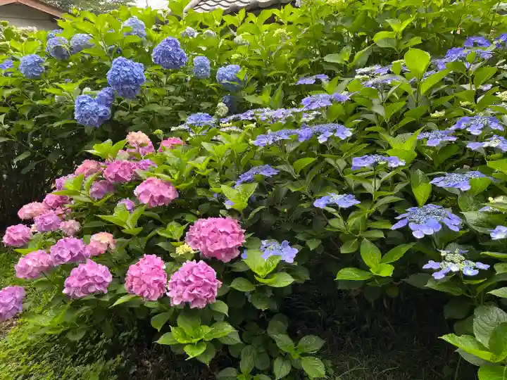 赤城神社の自然
