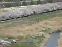 羽村神社(東京都)