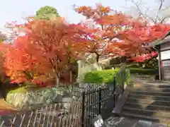 當麻寺の自然