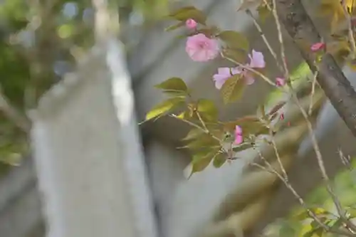 神鳥前川神社(神奈川県)