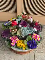 御井神社(岐阜県)