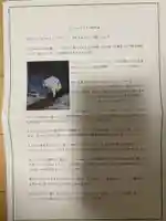 日蓮宗 総本山 塔頭 定林坊(じょうりんぼう)の授与品その他