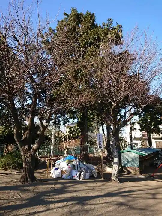 八幡神社の自然