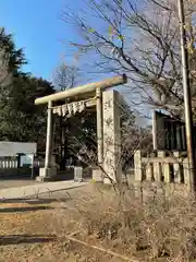 浅草神社の鳥居