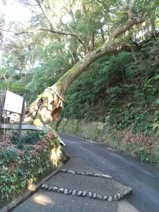 笠森寺(千葉県)