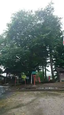 秈荷神社の自然