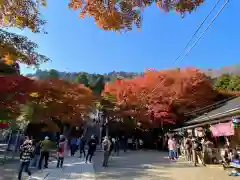 大山阿夫利神社(神奈川県)