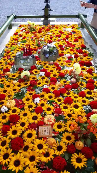 住吉神社の手水舎