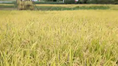 金蛇水神社(宮城県)