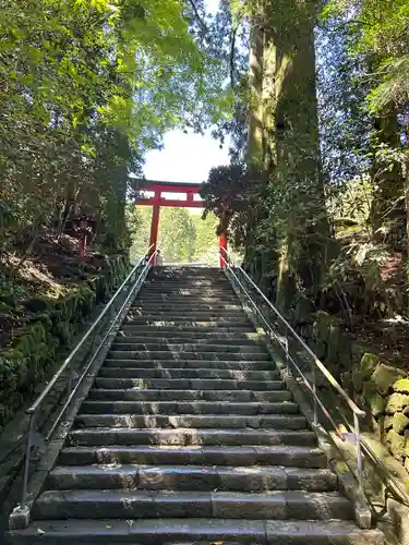箱根神社(神奈川県)