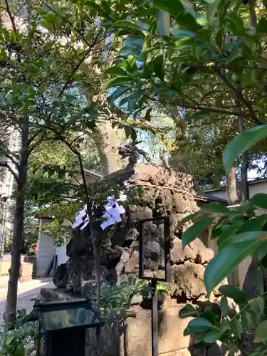 田無神社(東京都)