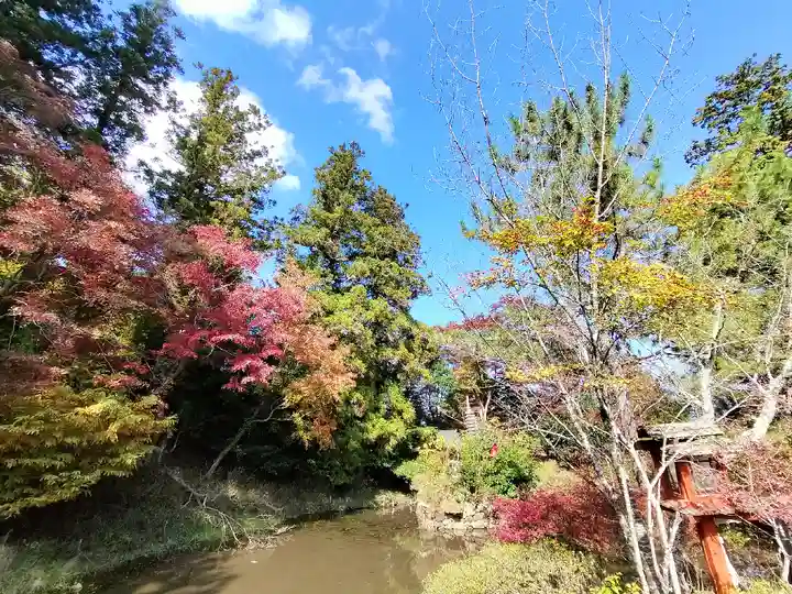 鍬山神社(京都府)