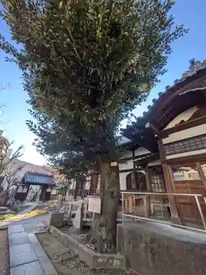 心光寺(東京都)