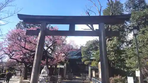 矢先稲荷神社の御朱印