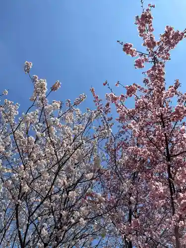 鳥出神社(三重県)