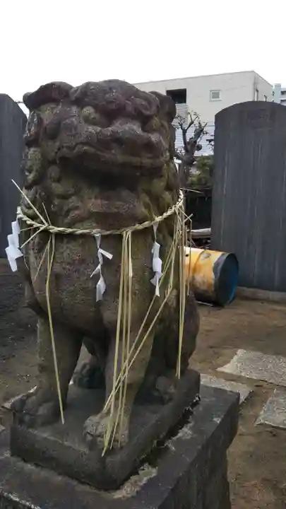 白幡神社の狛犬
