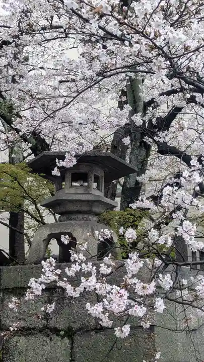 天孫神社(滋賀県)
