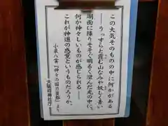 御津八幡宮の建物その他