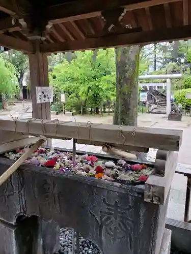 鳩森八幡神社の自然