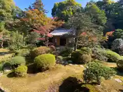 隨心院（随心院）(京都府)