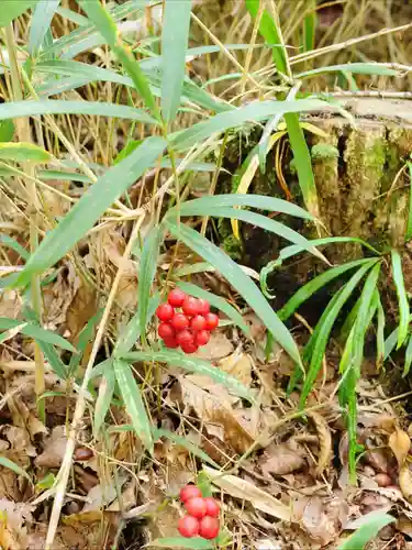 浄土寺(兵庫県)