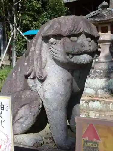 小幡八幡宮の狛犬