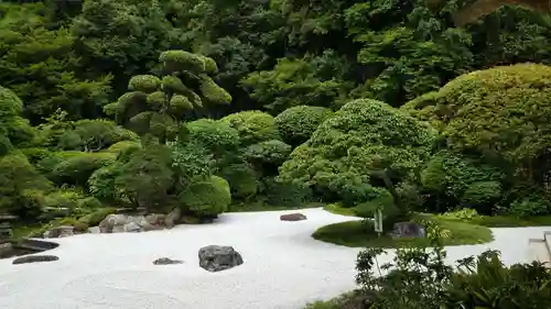 報国寺の庭園