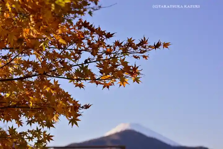 箱根神社(神奈川県)