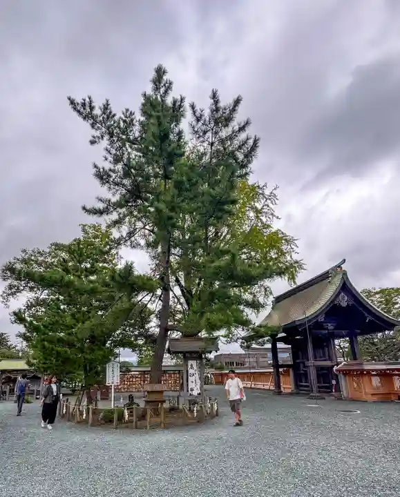 阿蘇神社(熊本県)
