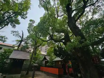 素盞烏尊神社(大阪府)